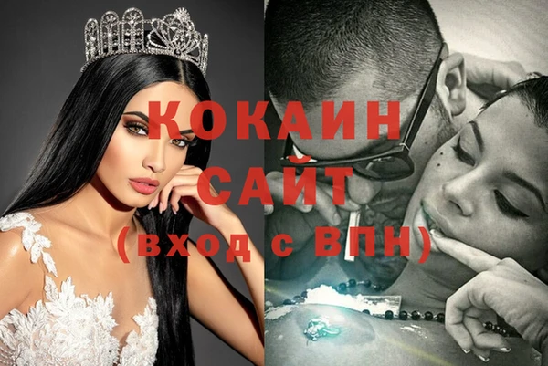 амф Алзамай