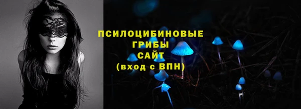 СК Алексеевка