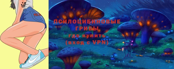 ПСИЛОЦИБИНОВЫЕ ГРИБЫ Алексин