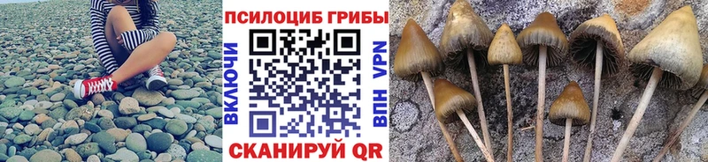 где продают наркотики  Бежецк  Галлюциногенные грибы GOLDEN TEACHER 